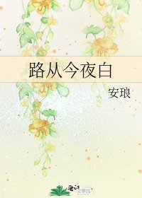 路从今夜白