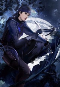 女将军的追妻路