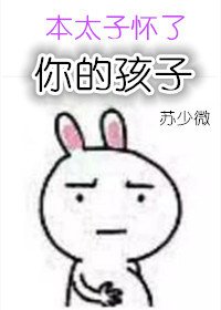 本太子怀了你的孩子